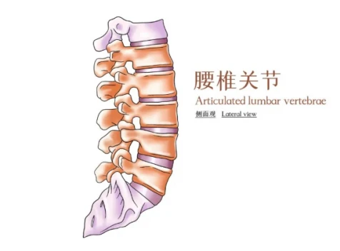 info-476-352